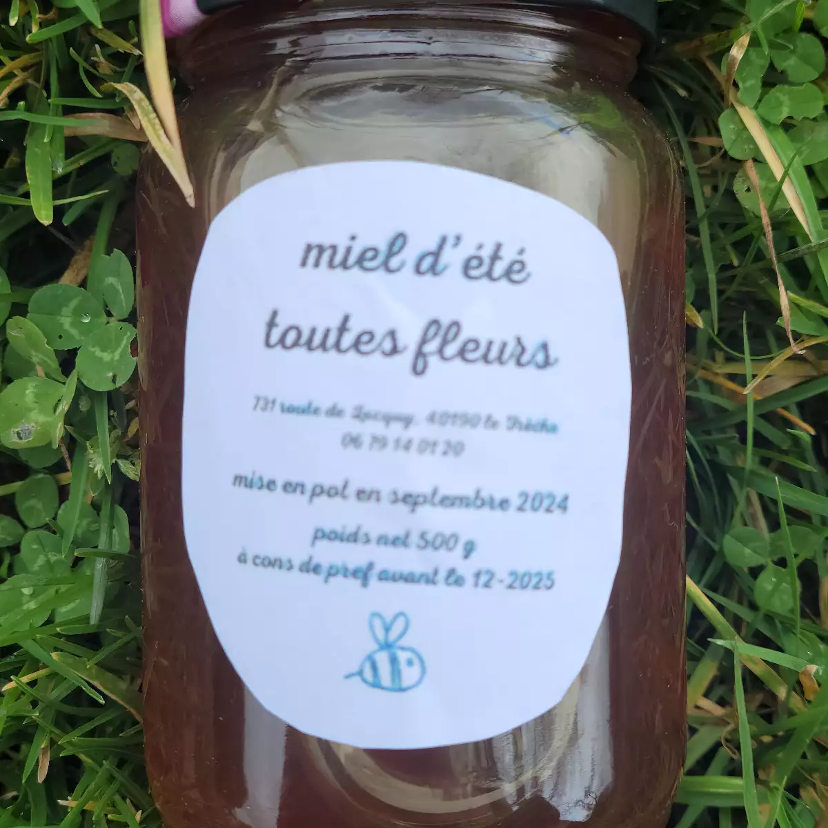 Miel toutes fleurs (500g)