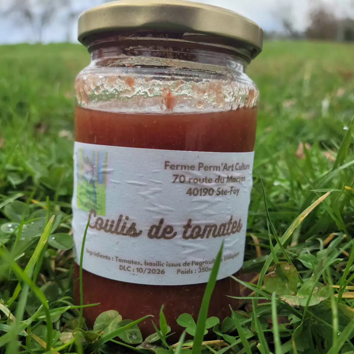Coulis de tomates (350 ml)